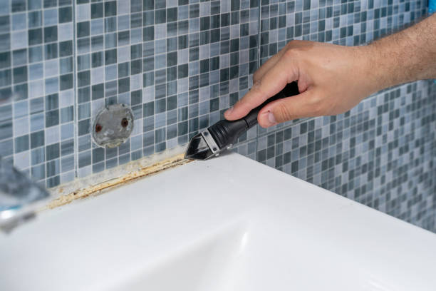 Certified Mold Removal in Glen Rose, TX