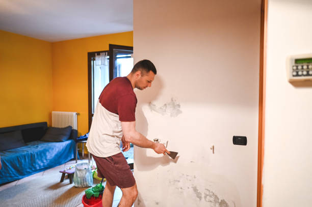 Best Crawl Space Mold Removal  in Glen Rose, TX
