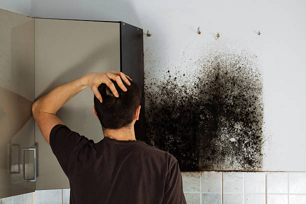Best Mold Testing  in Glen Rose, TX