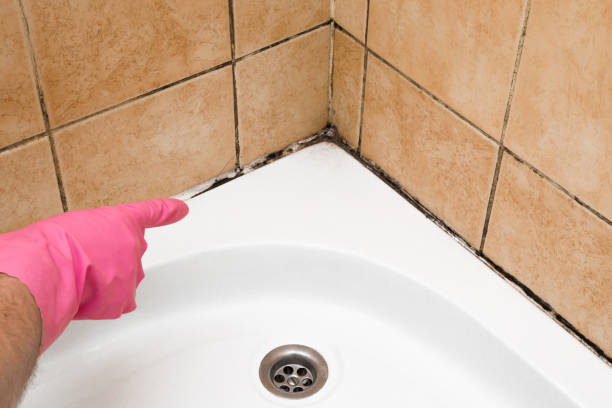 Best Residential Mold Removal  in Glen Rose, TX